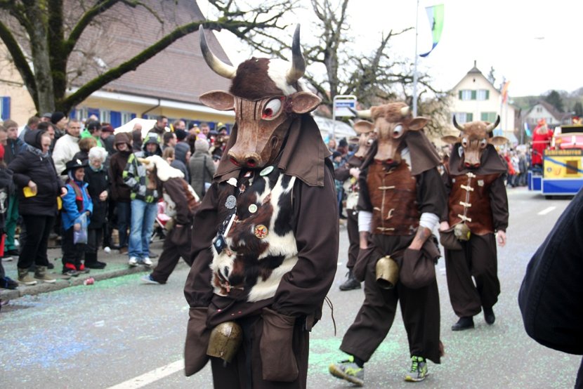 Sarmenstorf Fasnachtsumzug 16.02.2014 (56)